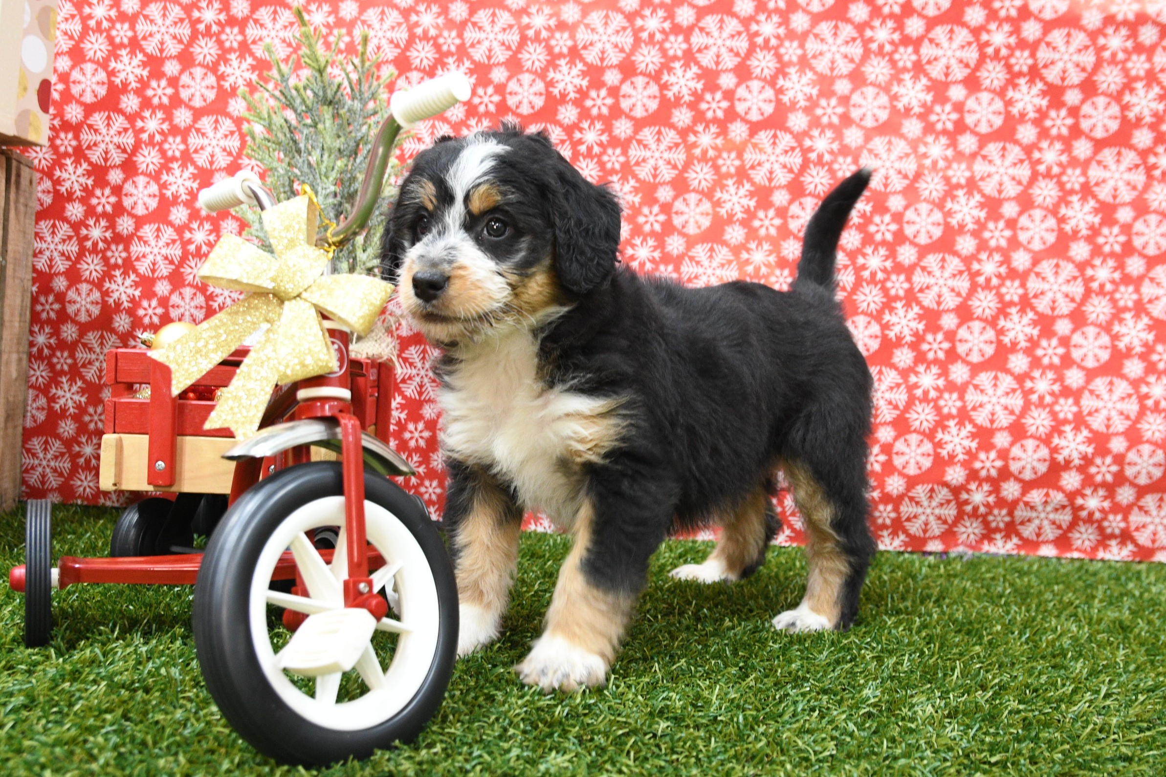 Jordyn 4 Jordyn - Image 4