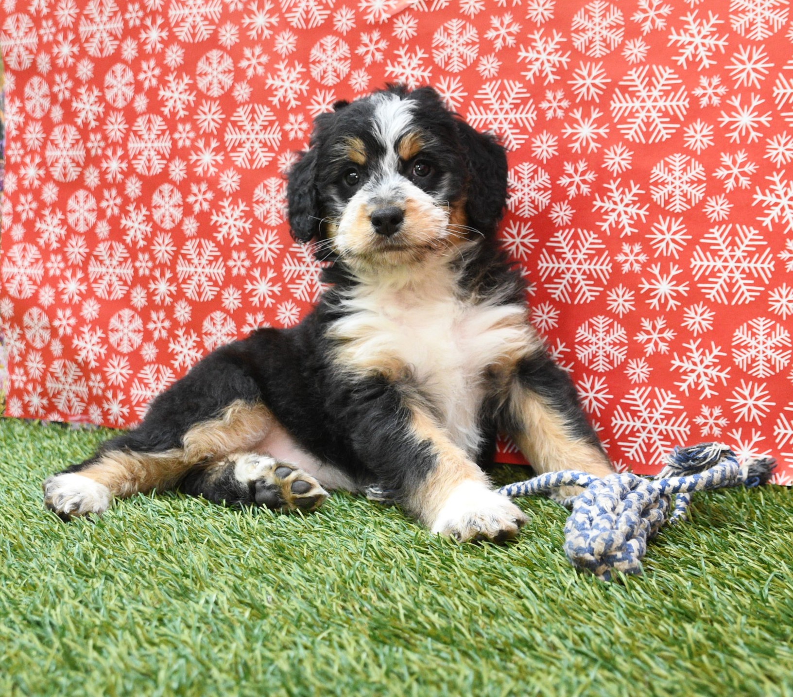 Jordyn 3 Jordyn - Image 3