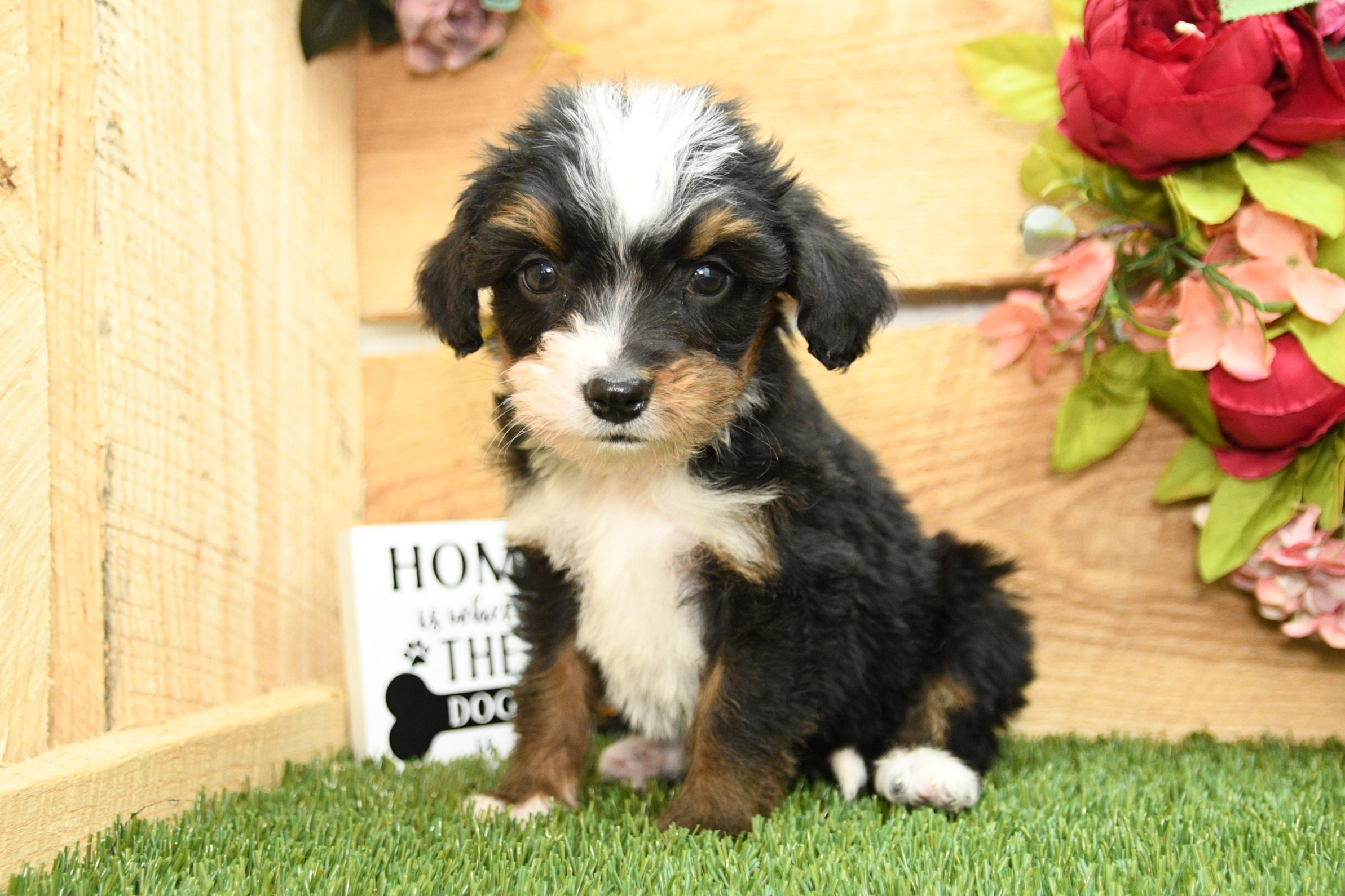 Hope 4 Hope - Image 4